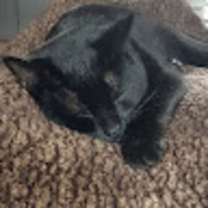 Meet your Posher, Mary beth